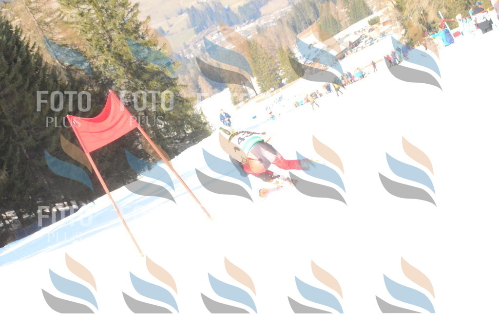 C7905 | holidayphoto