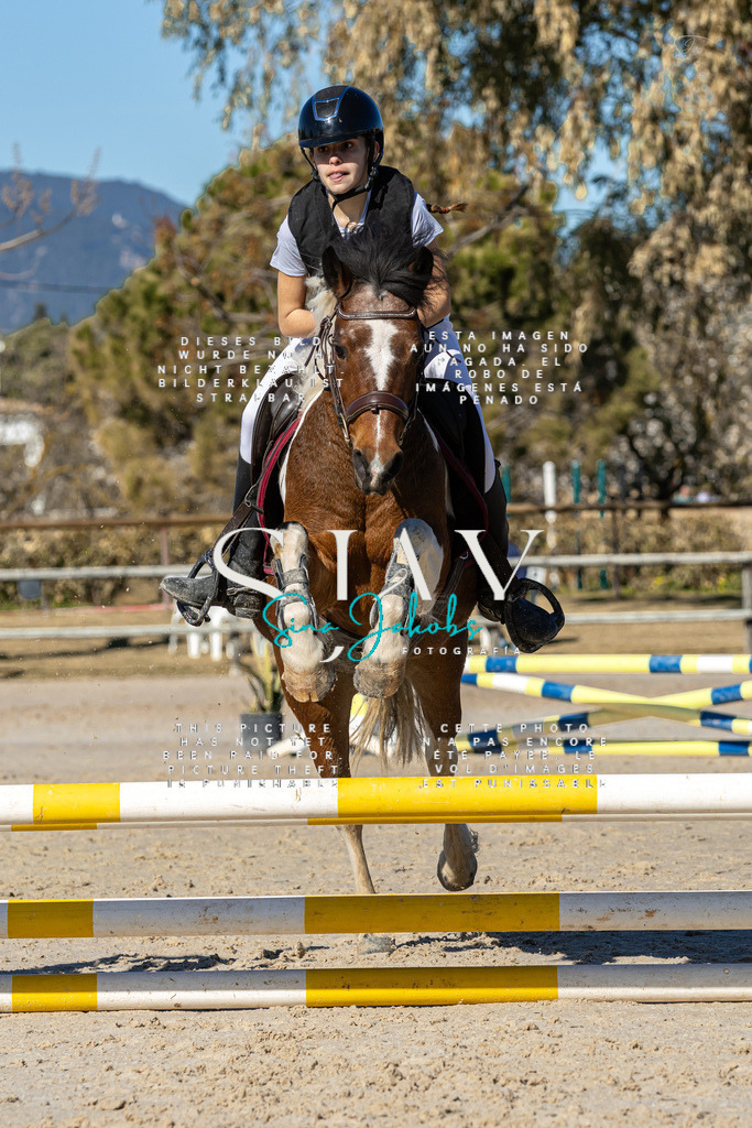 IMG_8447 | s-jay-photography - Realisiert mit Pictrs.com