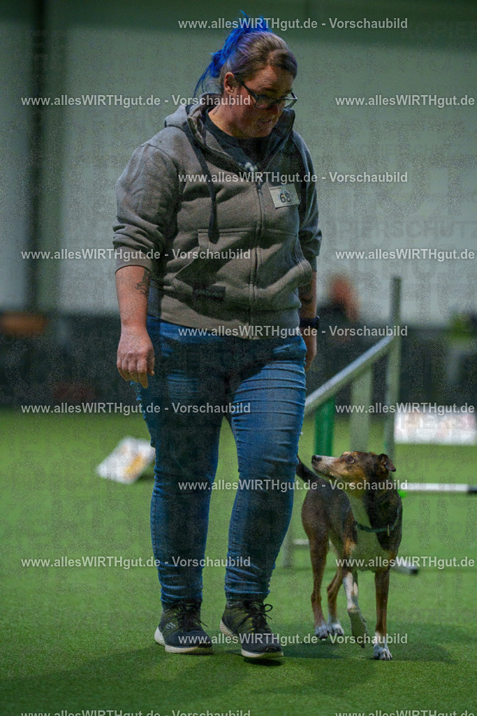 7R503808 | Professionelle Tierfotografie in Mönchengladbach von Daniel Wirth (allesWIRTHgut). Liebevolle & natürliche Bilder von Hunden & Katzen für unvergessliche Erinnerungen.