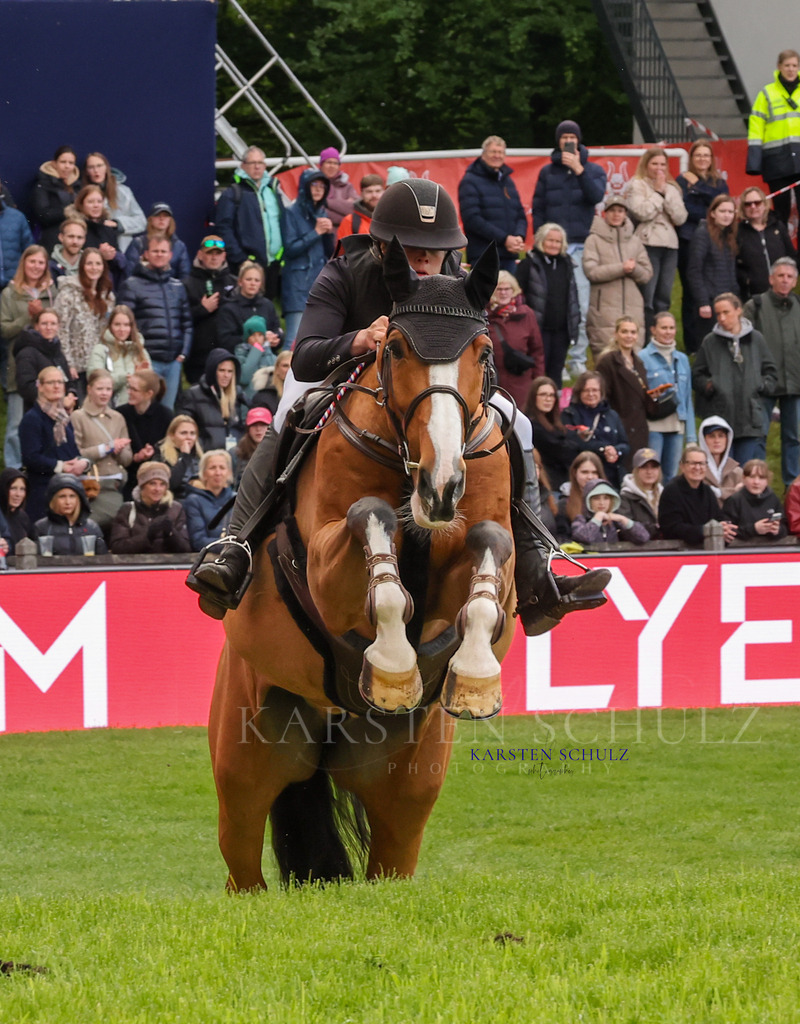 1B3A4648 | Reitsport Reiten