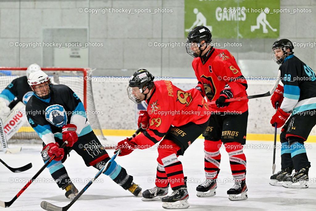 Lendhafen Seelöwen vs. Spartans Althofen | #94 Rosenzopf Lukas Lendhafen Seelöwen, #89 Pirmann Markus Spartans Althofen, #81 Jakobitsch Silvio Spartans Althofen, #88 Katnik Sebastian Lendhafen Seelöwen, Lendhafen Seelöwen vs. Spartans Althofen, Lendhafen Seelöwen vs. Spartans Althofen am 14.02.2025 in Ferlach (HTC Eishalle Ferlach), Austria, (Photo by Bernd Stefan)