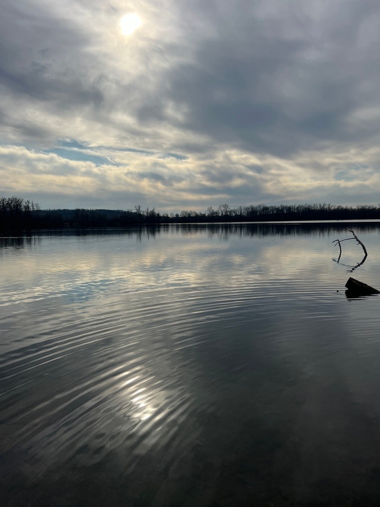 IMG_0254 | ace - Realisiert mit Pictrs.com