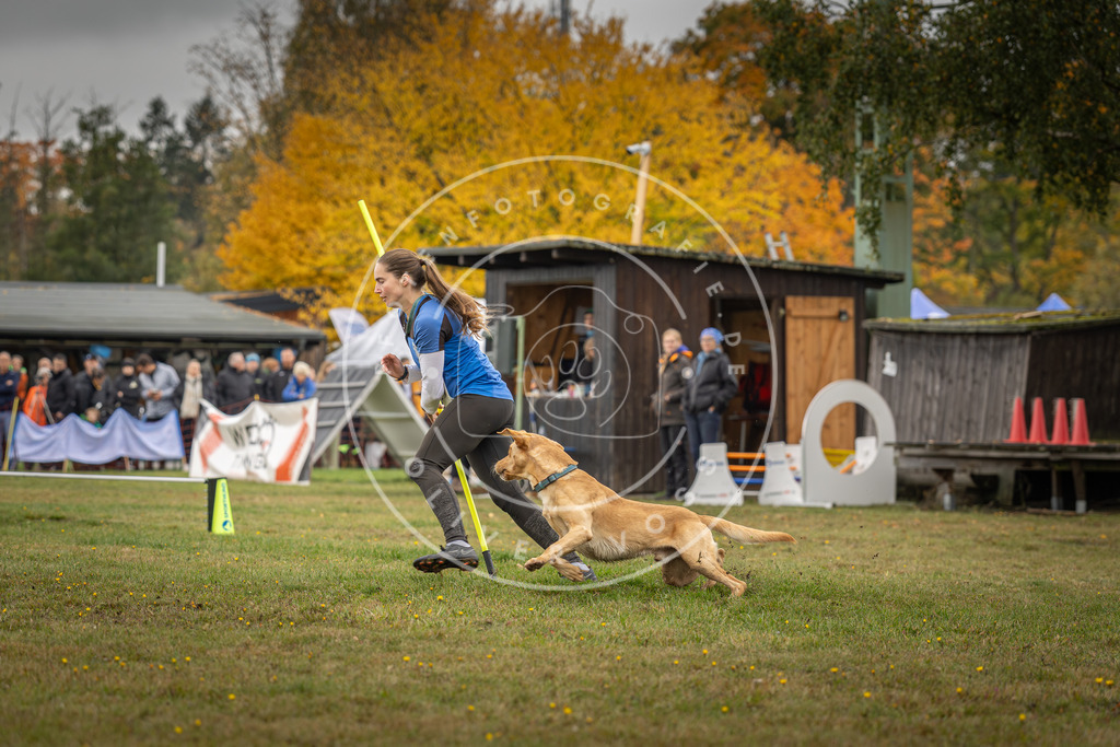 Pfotenfotografie_DV3A3030 | Hundefotografie, Tierfotograf, Pfotenfotografie, Fotoshooting Hund, Hunde Portrait, Hundesport, Hundeportraits, Heideshooting, Hunde, Sportfotograf, Hundefotograf, Turnierhundsport, THS,  - Realisiert mit Pictrs.com