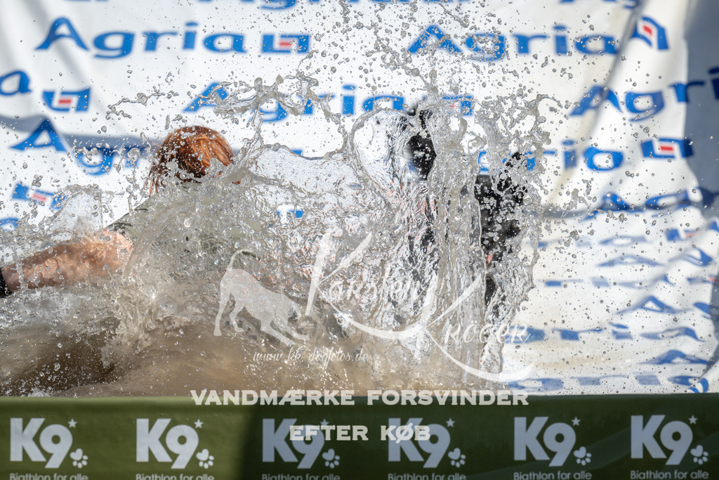 1145_ZZ93941 | kk-dogfotos