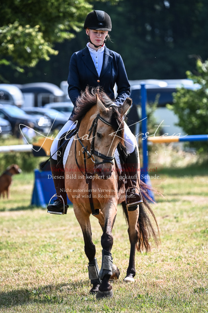 DSC_8024 | Pferde- und Turnierfotografie in Westsachsen. Pferdeportraits, Auftragszeichnungen und intuitive Kunst.