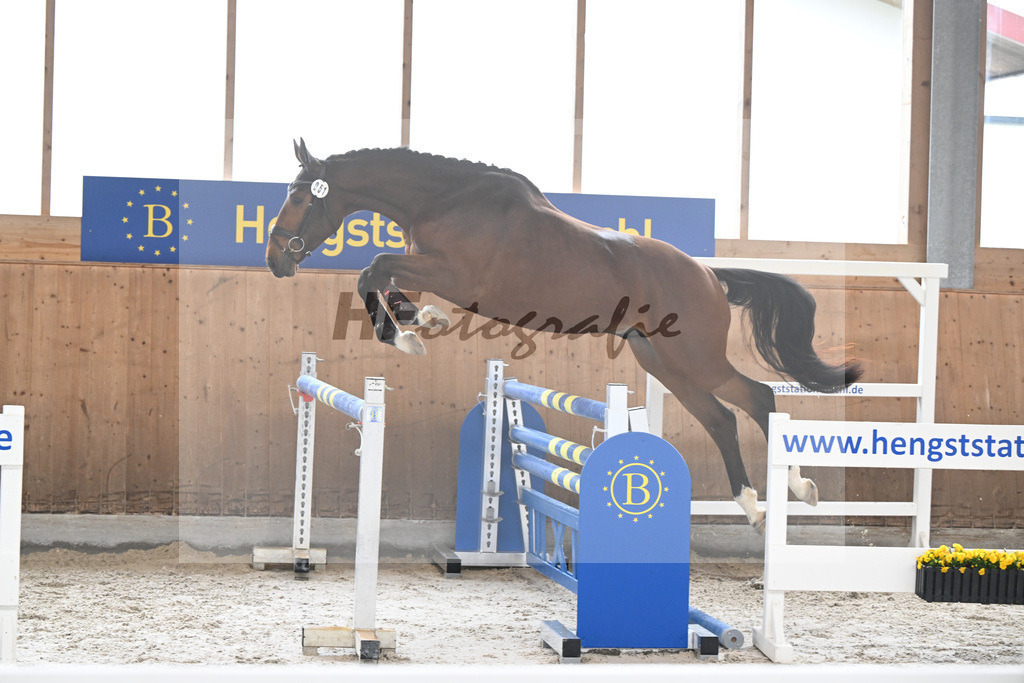 Kat-Nr. 51 Drago v. Denzel v h Meulenhof_Feichtner_14260161 | hf-fotografie - Realizzato con Pictrs.com