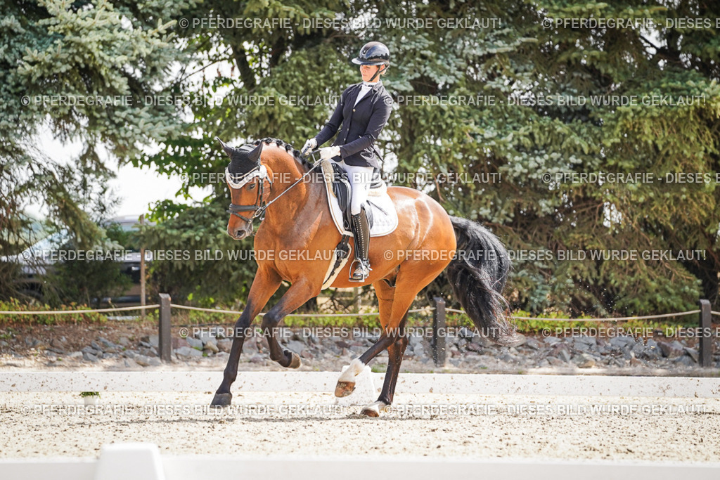 DSC09089 | Pferdegrafie