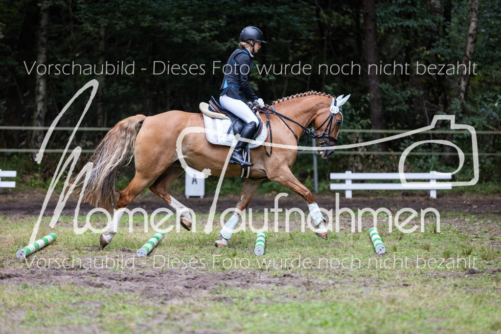 HB-Caprilli-042 | MomenTaufnahmen Pferdesportfotos