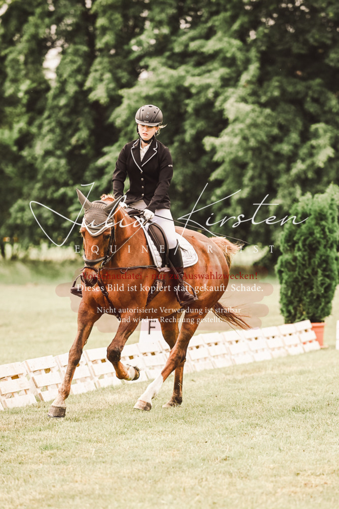 DSC_4828 | Pferde- und Turnierfotografie in Westsachsen. Pferdeportraits, Auftragszeichnungen und intuitive Kunst.