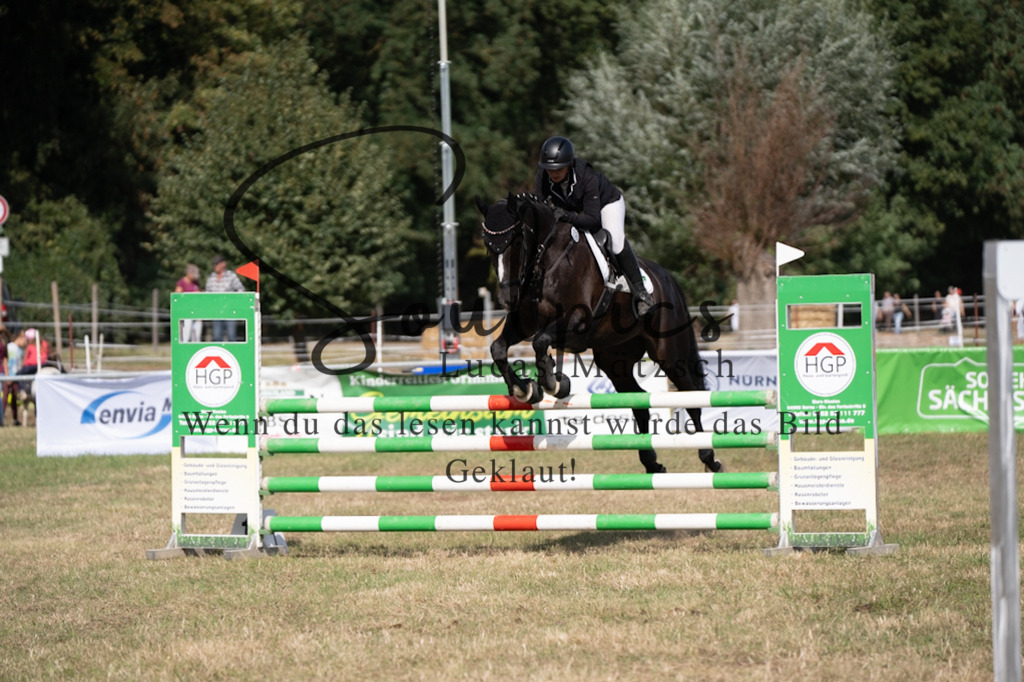 A7V09165 | Pferdefotograf