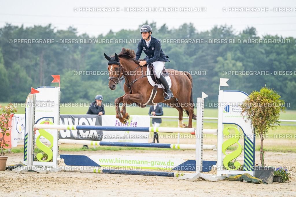 DSC00721 | Pferdegrafie