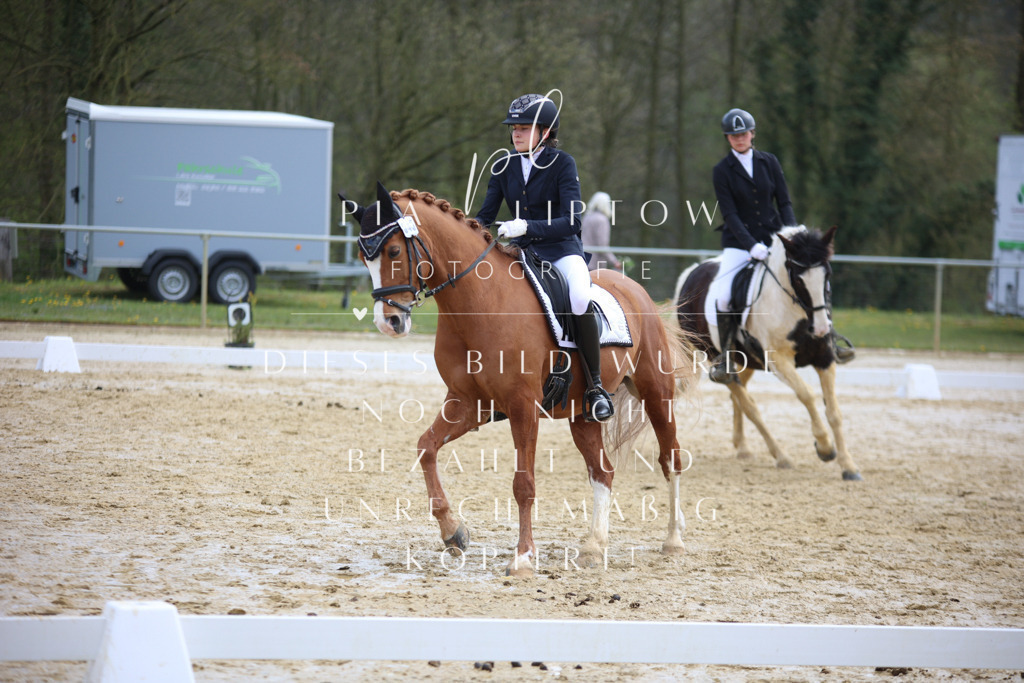 IMGT4055 | pl-fotografie