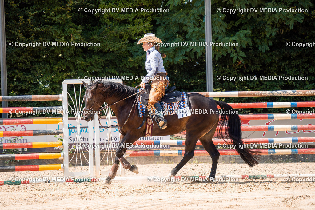 ZH100337 | dv-media-shop - Realisiert mit Pictrs.com