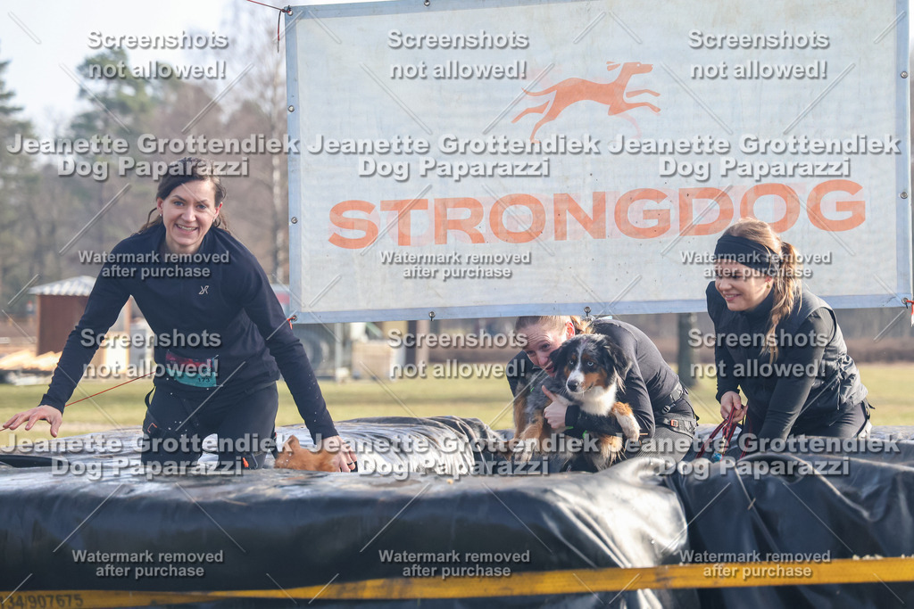 Dog Paparazzi - Strongdog North Mrz26-292 | Dog Paparazzi Jeanette Grottendiek Fotografie & Videografie - Realisiert mit Pictrs.com
