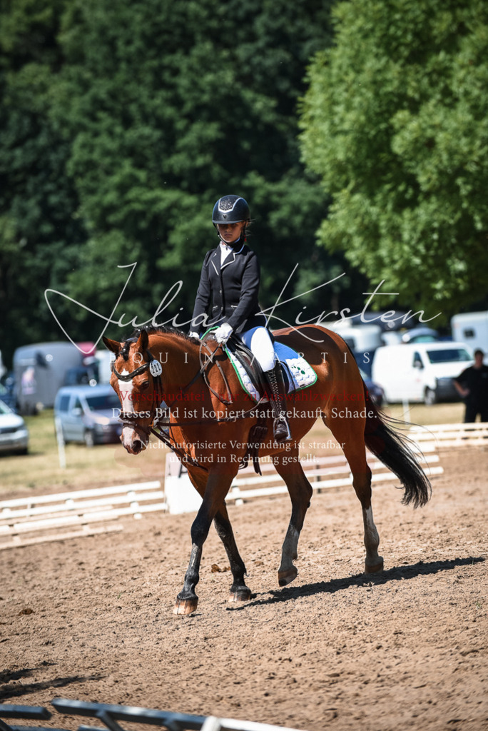 DSC_3426 | Pferde- und Turnierfotografie in Westsachsen. Pferdeportraits, Auftragszeichnungen und intuitive Kunst.