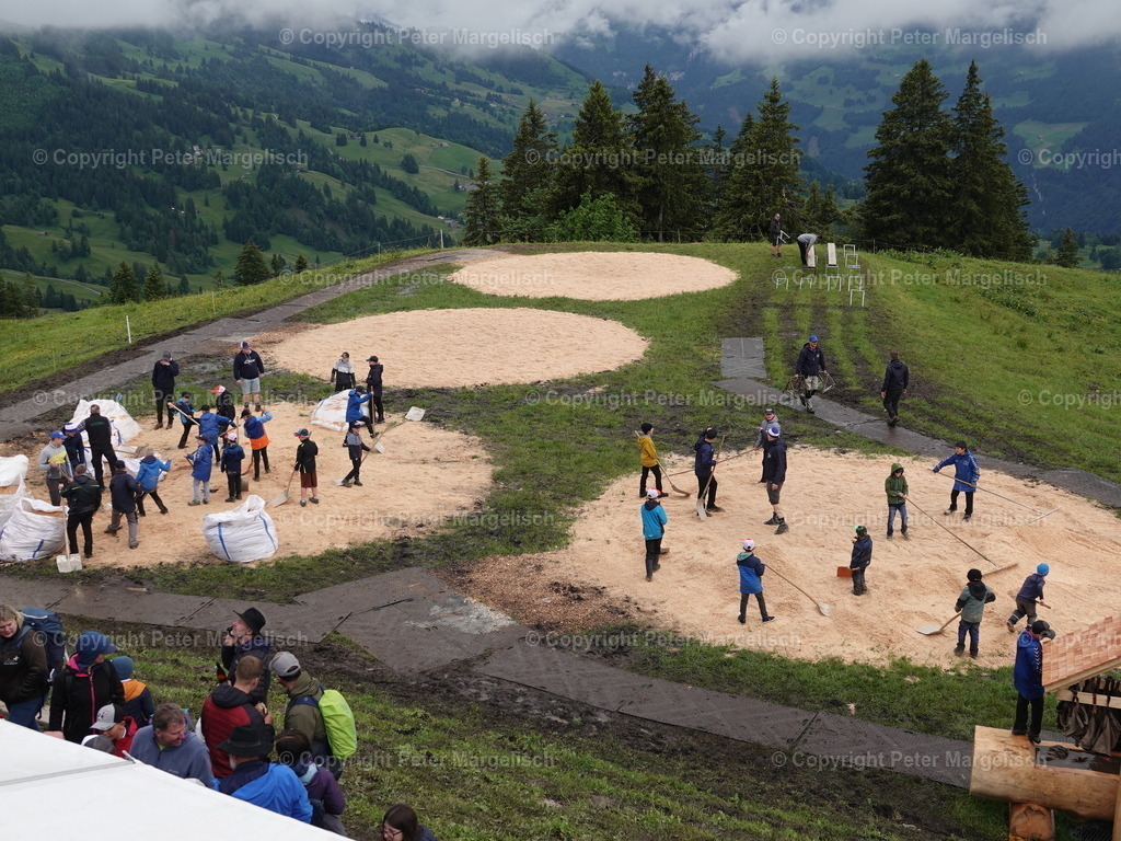 DSC07879 | Schwingen - Realisiert mit Pictrs.com