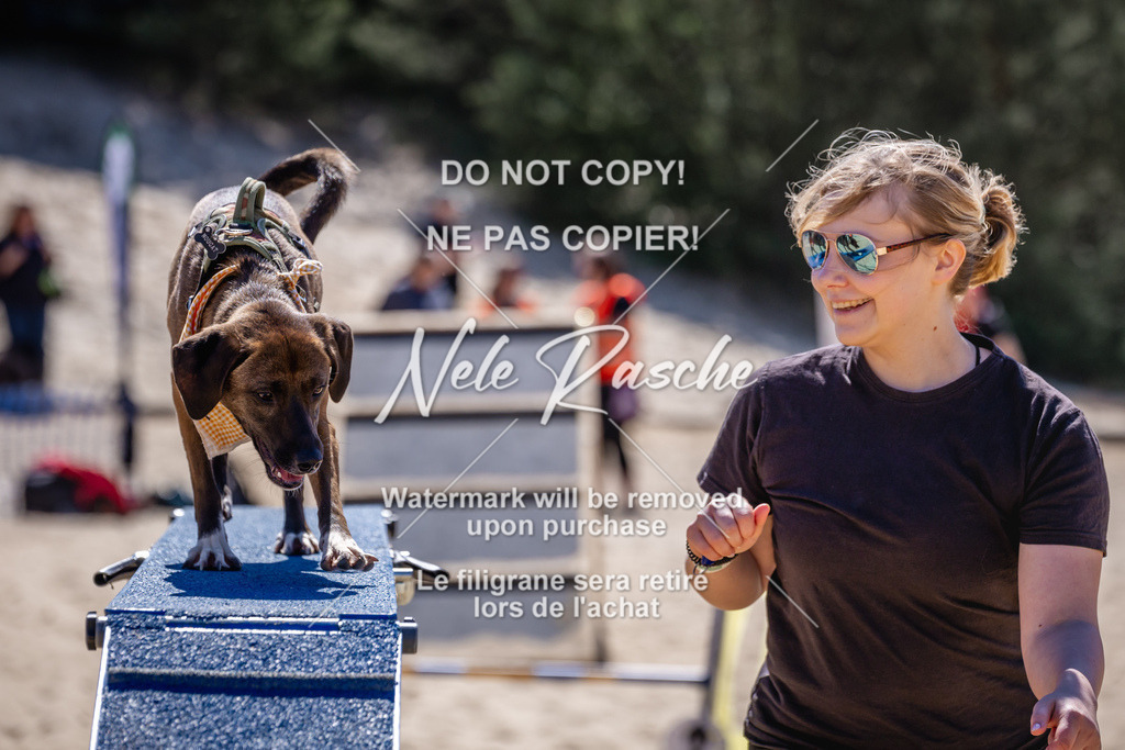 NR__1561 | nelerasche