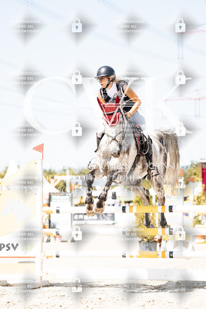 CK909683 | Turnierfotografie Pferdefotografie Trier Rheinland-Pfalz Pferdesport Reitsport Tierfotografie Sportfotografie Pferdevideo Pferdevideografie Equestrianvideography equestrianphotography  - Realisiert mit Pictrs.com