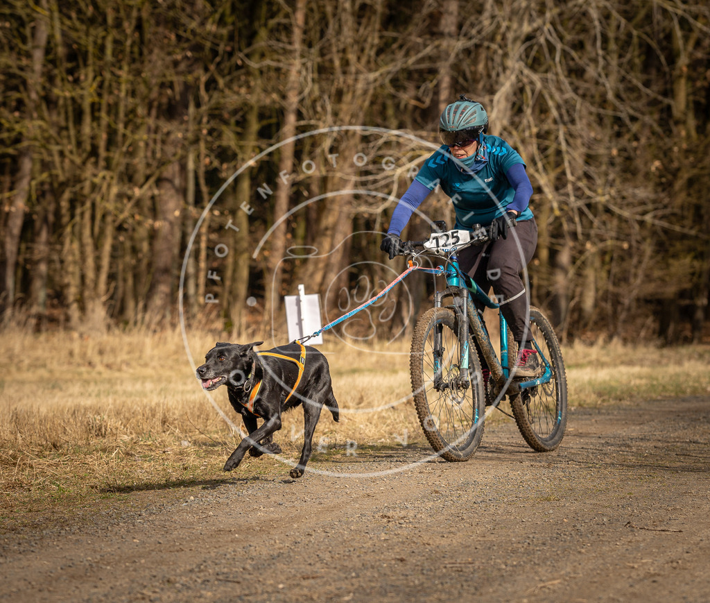 DV3A4529 | Hundefotografie, Tierfotograf, Pfotenfotografie, Fotoshooting Hund, Hunde Portrait, Hundesport, Hundeportraits, Heideshooting, Hunde, Sportfotograf, Hundefotograf, Turnierhundsport, THS,  - Realisiert mit Pictrs.com