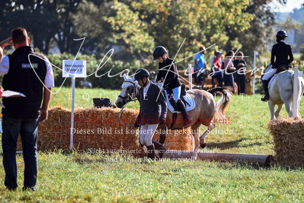 DSC_0328 | Pferde- und Turnierfotografie in Westsachsen. Pferdeportraits, Auftragszeichnungen und intuitive Kunst.