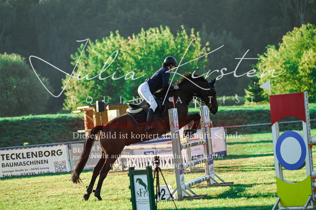 DSC_3965 | Pferde- und Turnierfotografie in Westsachsen. Pferdeportraits, Auftragszeichnungen und intuitive Kunst.