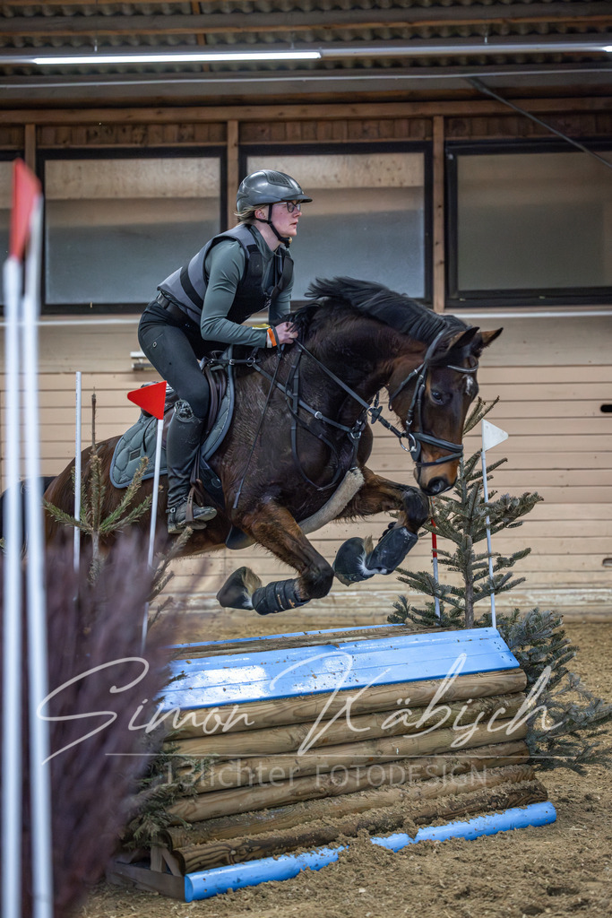 20260222-_3LI1536 | Tierfotografie Pferde, Hunde, Katzen, Haustiere.
Turnierfotografie Reitturniere, Reiten, Springreiten, Dressur in Hanau, dem Main-Kinzig-Kreis und dem Rhein-Main- Gebiet um Frankfurt