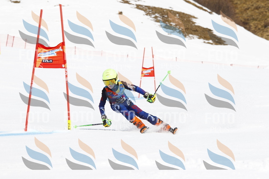 _U3G4174 | holidayphoto