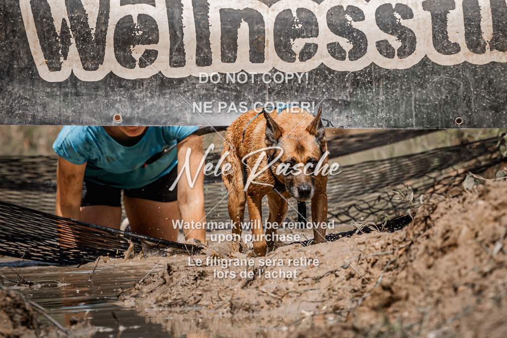 nelerasche_Hoope2026_Sa1230-1300_523 | nelerasche