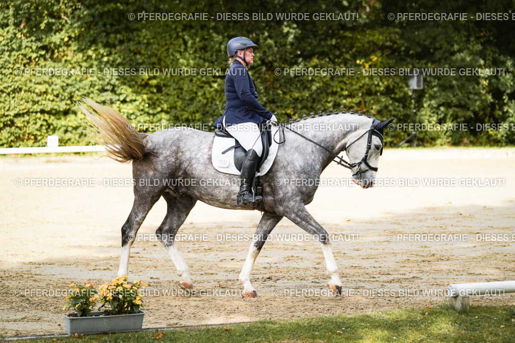 DSC01489 | Pferdegrafie