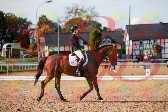 2026_10_03_Siefer-Hof_130846_Z63_70579313 | Professionelle Reitsport-, Turnier- und Eventfotografie von Robert Broda. Galerien mit ausgewählten und bearbeiteten Bildern direkt online ansehen und bestellen.
