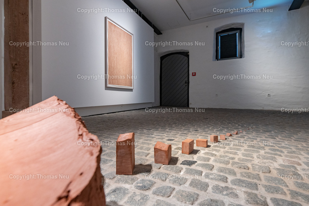 DSC_0477 | Jonas Wendelin zeigt großformatige Skulpturen und Rauminstallationen aus Ton und Lehm, basierend auf 3D‑Scans von organischen Materialien wie verrottenden Baumstämmen und archäologischen Gefäßen aus der Museums‑Sammlung. Diese Arbeiten thematisieren Material als Archiv und Informationsträger, Erosion und Zerstörung — sowohl formal als auch inhaltlich. Die Werke schaffen Spannungsfelder zwischen haptischer Realität und digitaler Wahrnehmung, und lassen Wahrnehmungskategorien wie natürlich oder künstlich verschwimmen. 
