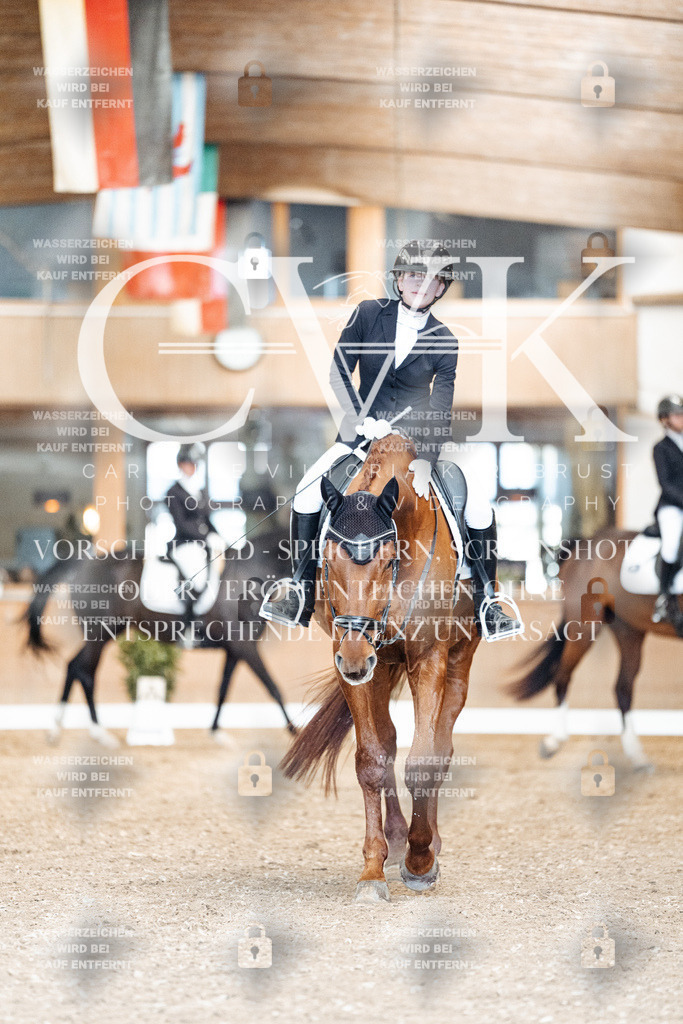 CK901109 | Turnierfotografie Pferdefotografie Trier Rheinland-Pfalz Pferdesport Reitsport Tierfotografie Sportfotografie Pferdevideo Pferdevideografie Equestrianvideography equestrianphotography  - Realisiert mit Pictrs.com