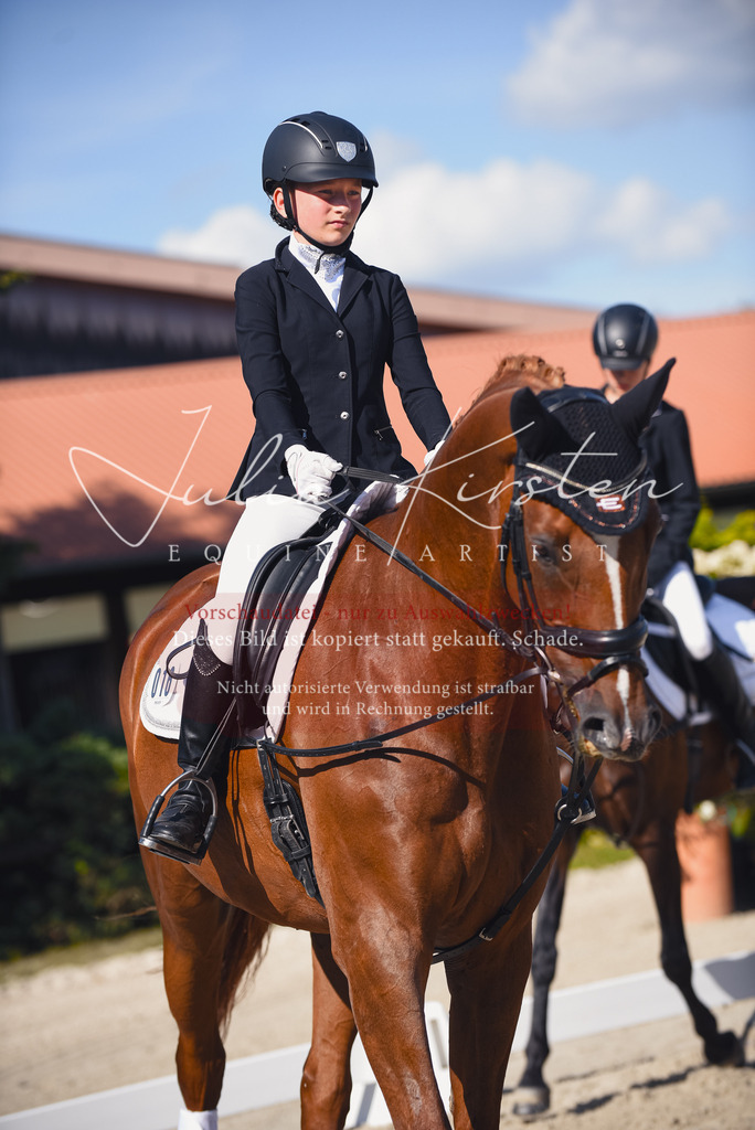 DSC_0047 | Pferde- und Turnierfotografie in Westsachsen. Pferdeportraits, Auftragszeichnungen und intuitive Kunst.