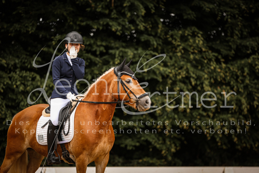 DoDrE00526 | Leoni Ertmer Photography - Realisiert mit Pictrs.com