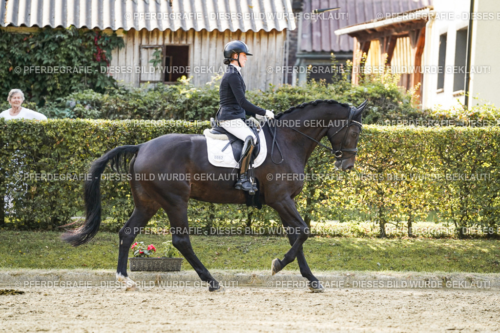 DSC05585 | Pferdegrafie