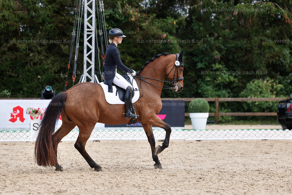07-189-DRESSUR  S___  -StoibPH-5060 | working equitationturnier fotograf videograf stoibphotography marixx film working equitation deutschland reitsport turnierfotografie eventfotografie equestrian events