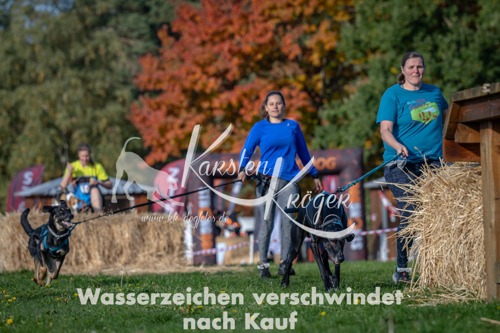 1045_ZZ91418 | kk-dogfotos