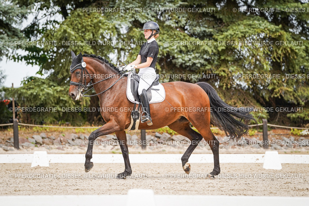 DSC06130 | Pferdegrafie