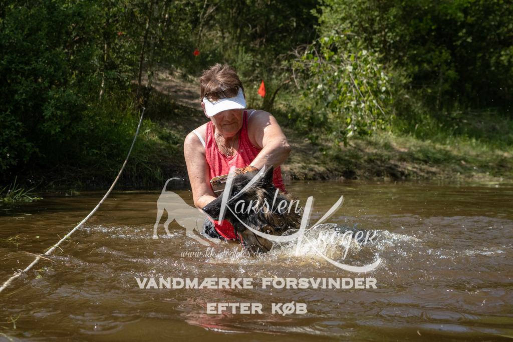 1519DKK991142 | kk-dogfotos