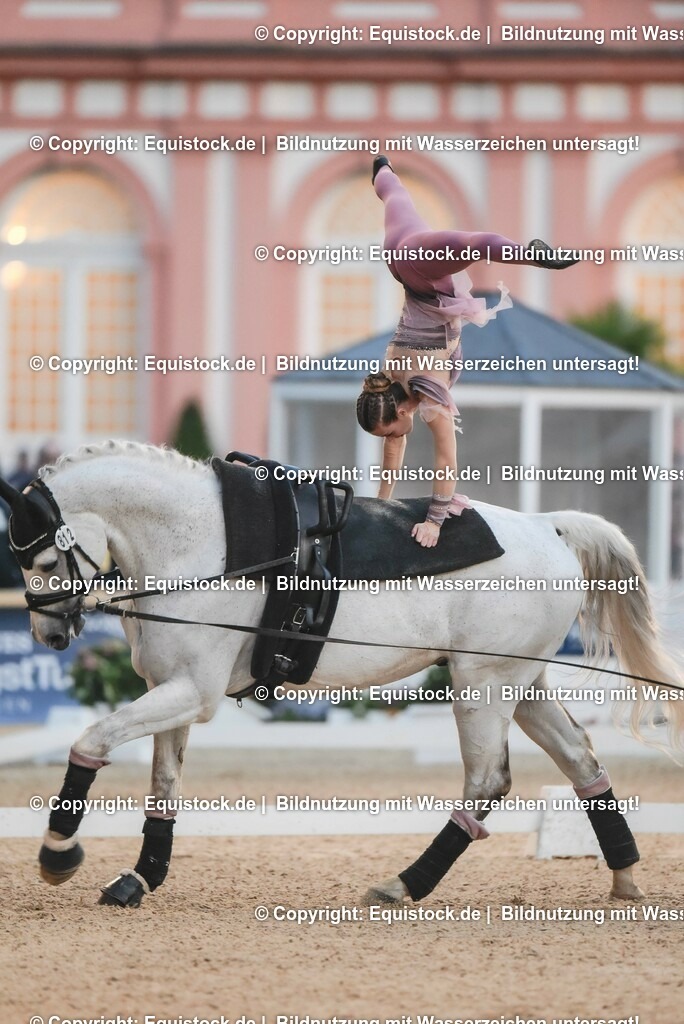 20230527_Voltigieren_NASPA_Flutlicht_0335 | equistock