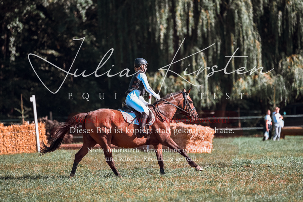 DSC_0676 | Pferde- und Turnierfotografie in Westsachsen. Pferdeportraits, Auftragszeichnungen und intuitive Kunst.