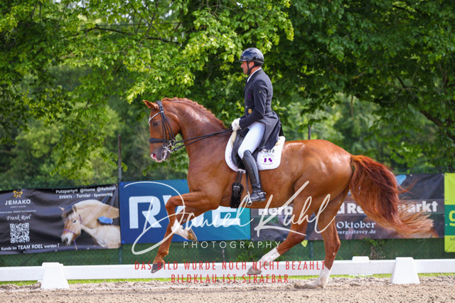 DKP41334 | Turnierfotos kaufen im Webshop von Daniel Kuhl Photography – entdecke professionelle Reitsportfotos aus Turnieren & Events. Hochwertige Turnierbilder online bestellen & sichern. Jetzt Fotos von Reitsportturnieren kaufen!
