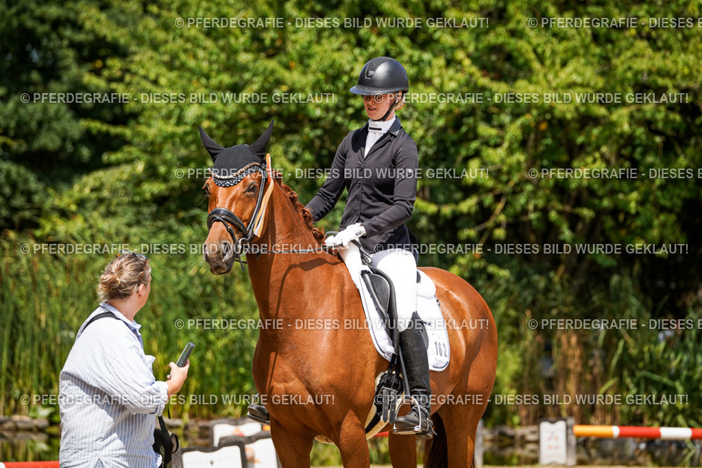 DSC01933 | Pferdegrafie