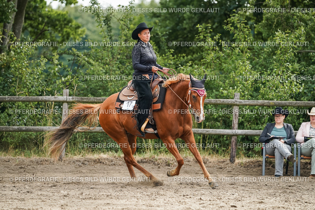 DSC03644 | Pferdegrafie