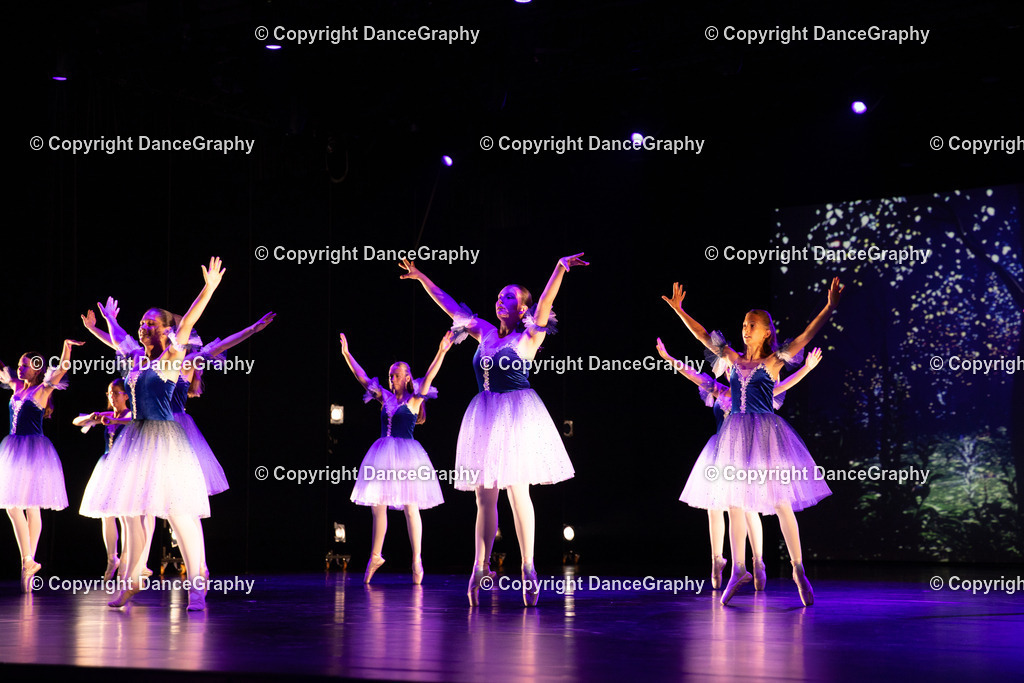 GPHY4360 | DanceGraphy - Realisiert mit Pictrs.com