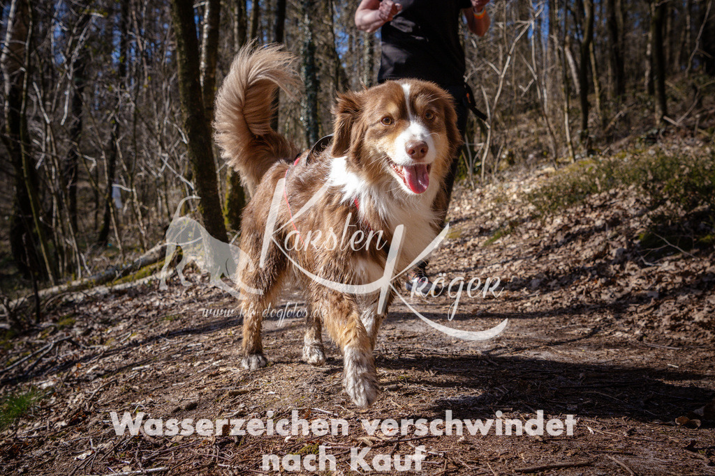 1130_ZZ98548 | kk-dogfotos