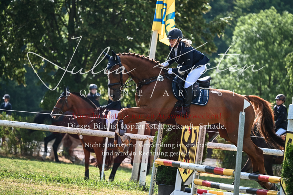 DSC_7756 | Pferde- und Turnierfotografie in Westsachsen. Pferdeportraits, Auftragszeichnungen und intuitive Kunst.