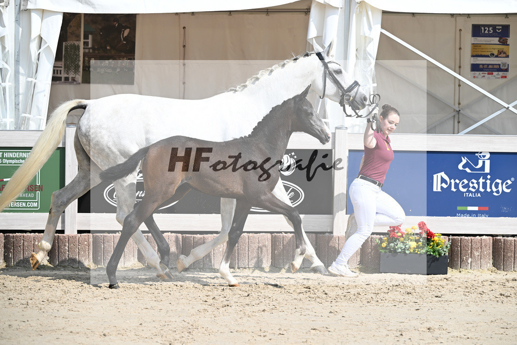 Esperanto x Boss Hoss_SF_Kraft_12250257 | hf-fotografie - Realisiert mit Pictrs.com
