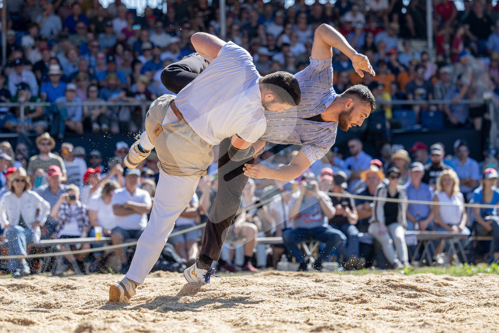 TESSINER2025_04_Gang_0787 | Die Schwinger des Schwyzer Kantonalen Schwingerverbandes: Fotos, die Dynamik und Leidenschaft festhalten, sowie emotionale Momente aus dem traditionellen Schwingsport zeigen. - Realisiert mit Pictrs.com
