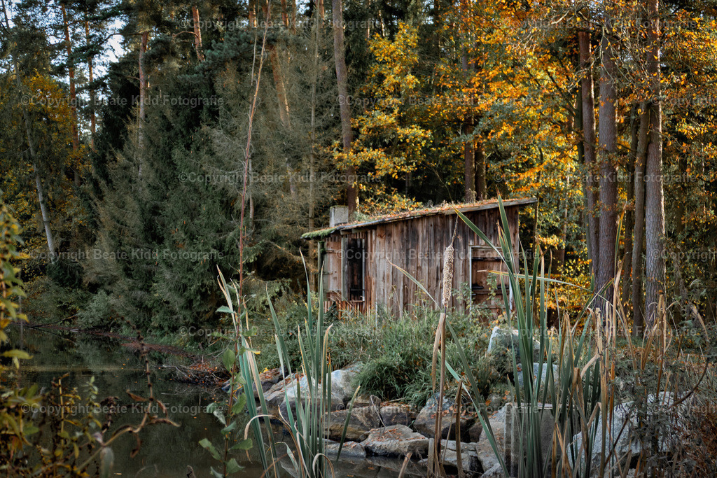 P1580355 | beatekidd-fotografie - Realisiert mit Pictrs.com